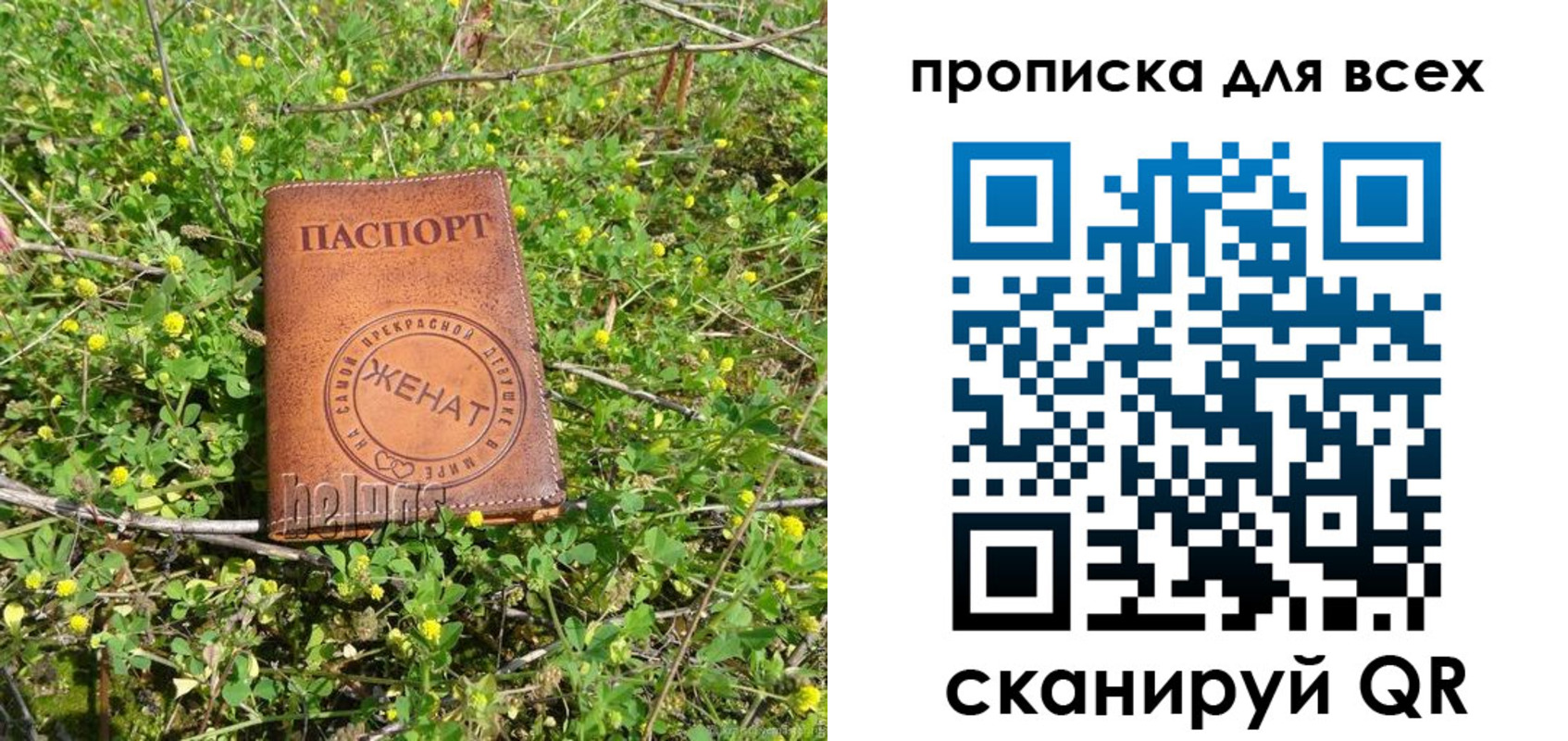 прописка поиск в Гвардейске